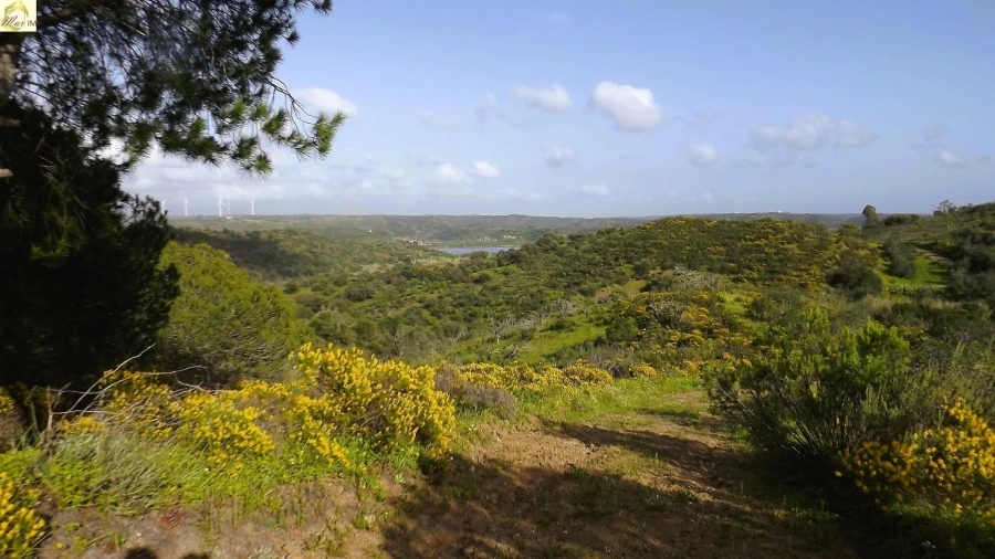 Terreno Agricola ou Rústico para Venda em Azinhal Foto 1