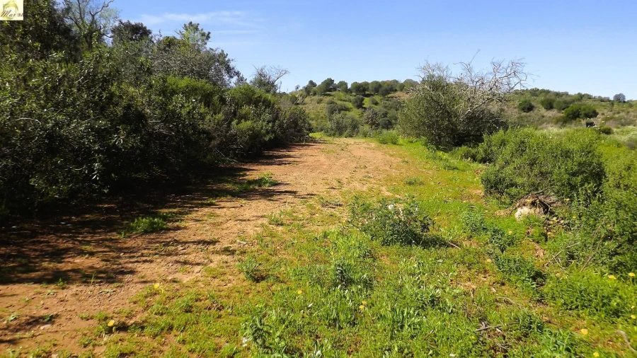 Terreno Agricola ou Rústico para Venda em Azinhal Foto 11