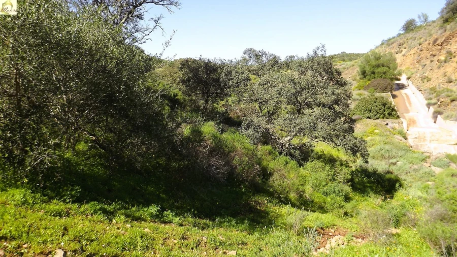 Terreno Agricola ou Rústico para Venda em Azinhal Foto 18