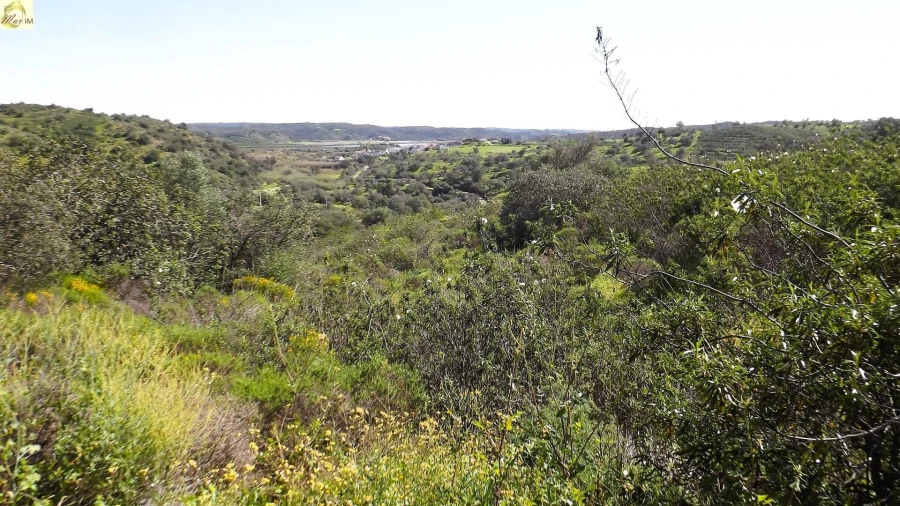 Terreno Agricola ou Rústico para Venda em Azinhal Foto 2