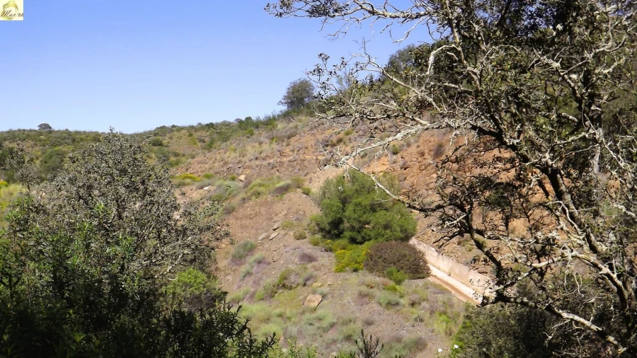 Terreno Agricola ou Rústico para Venda em Azinhal Foto 20