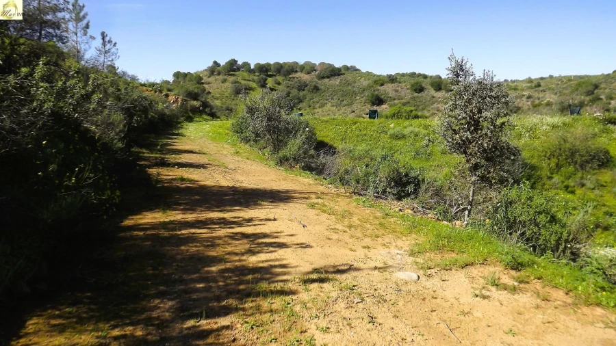 Terreno Agricola ou Rústico para Venda em Azinhal Foto 25