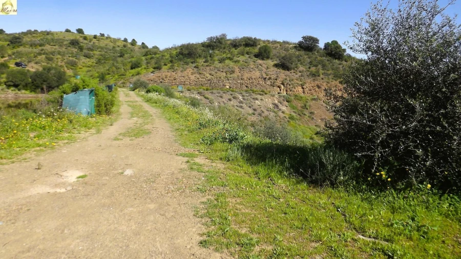 Terreno Agricola ou Rústico para Venda em Azinhal Foto 27
