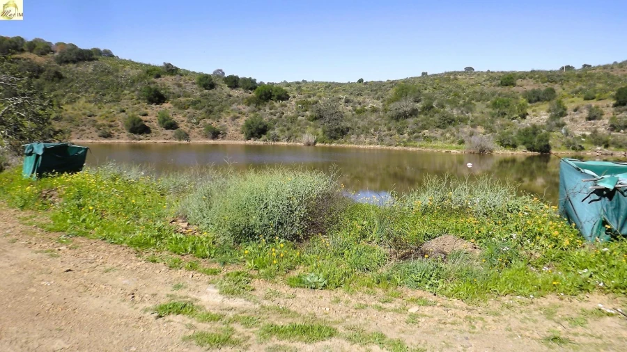 Terreno Agricola ou Rústico para Venda em Azinhal Foto 28