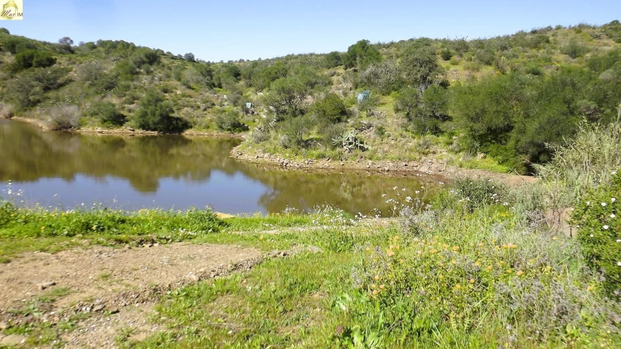 Terreno Agricola ou Rústico para Venda em Azinhal Foto 35