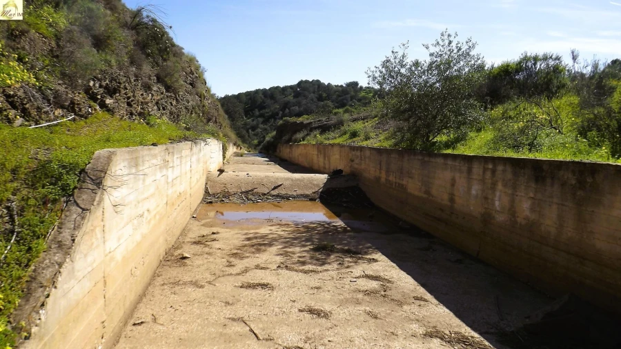 Terreno Agricola ou Rústico para Venda em Azinhal Foto 36