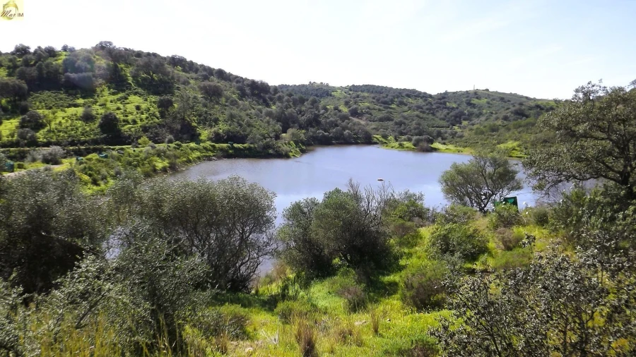 Terreno Agricola ou Rústico para Venda em Azinhal Foto 38