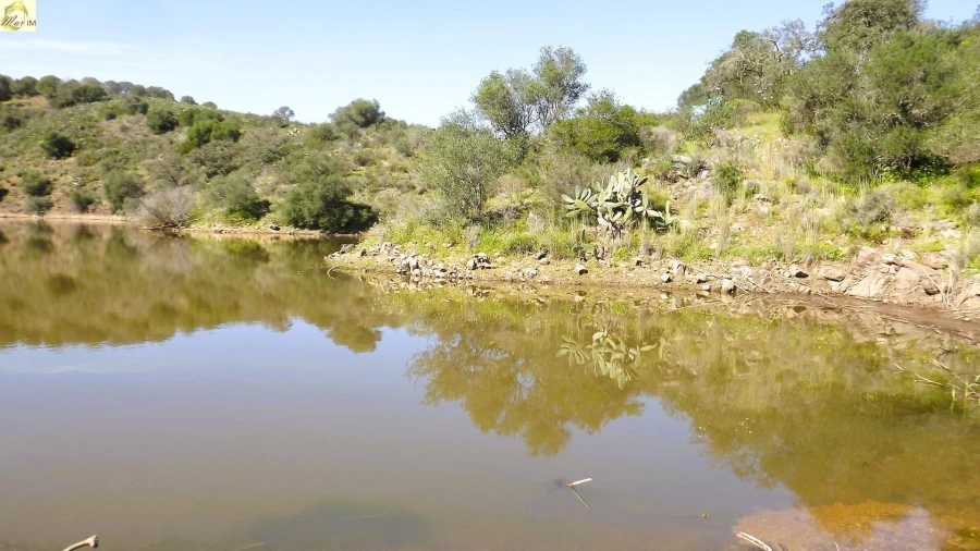 Terreno Agricola ou Rústico para Venda em Azinhal Foto 4