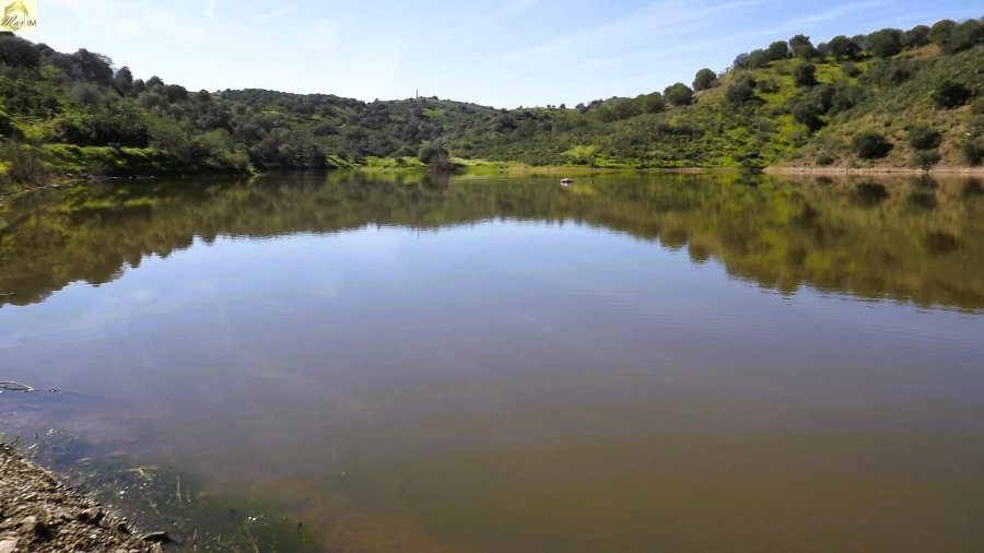 Terreno Agricola ou Rústico para Venda em Azinhal Foto 5