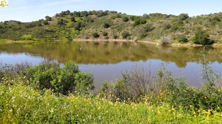 Terreno Agricola ou Rústico para Venda em Azinhal Foto 6