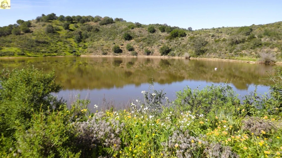 Terreno Agricola ou Rústico para Venda em Azinhal Foto 8