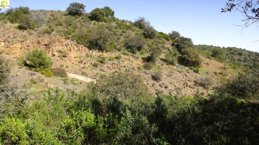 Terreno Agricola ou Rústico para Venda em Azinhal Foto 25