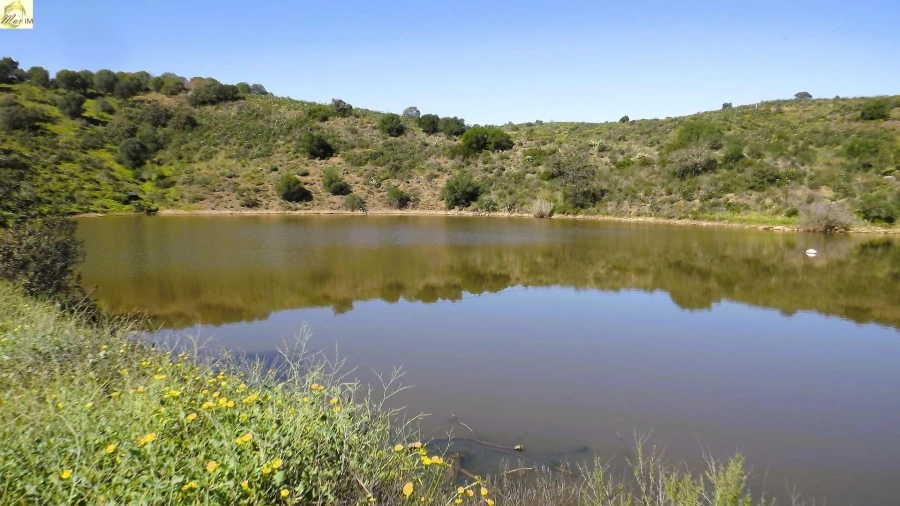 Terreno Agricola ou Rústico para Venda em Azinhal Foto 30
