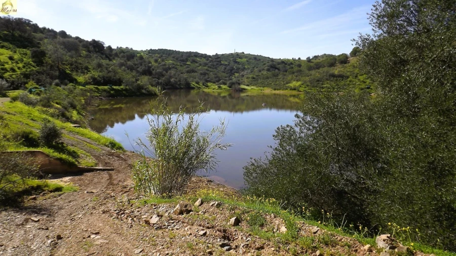 Terreno Agricola ou Rústico para Venda em Azinhal Foto 5