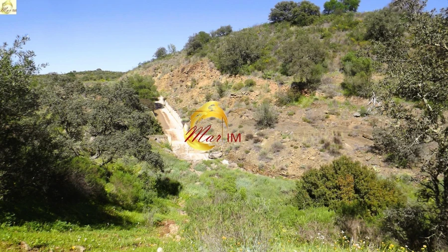 Terreno Agricola ou Rústico para Venda em Azinhal Foto 18