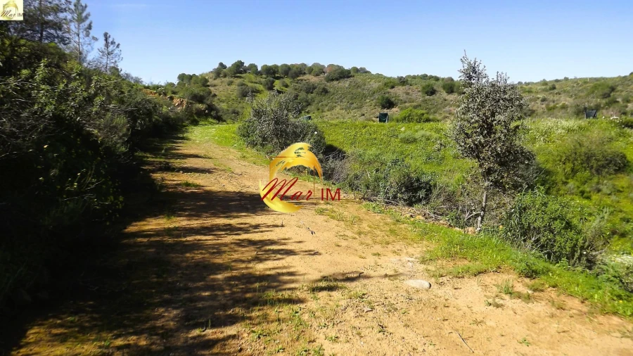 Terreno Agricola ou Rústico para Venda em Azinhal Foto 28