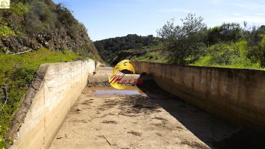 Terreno Agricola ou Rústico para Venda em Azinhal Foto 38