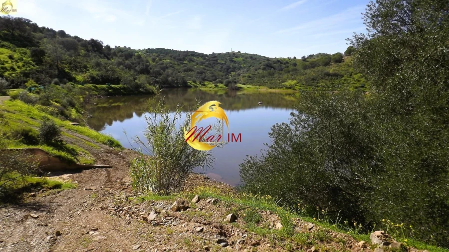 Terreno Agricola ou Rústico para Venda em Azinhal Foto 6