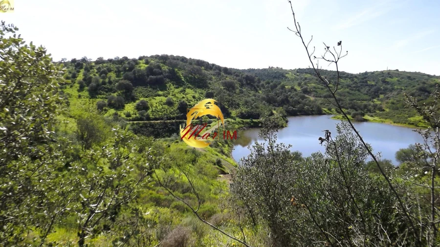 Terreno Agricola ou Rústico para Venda em Azinhal