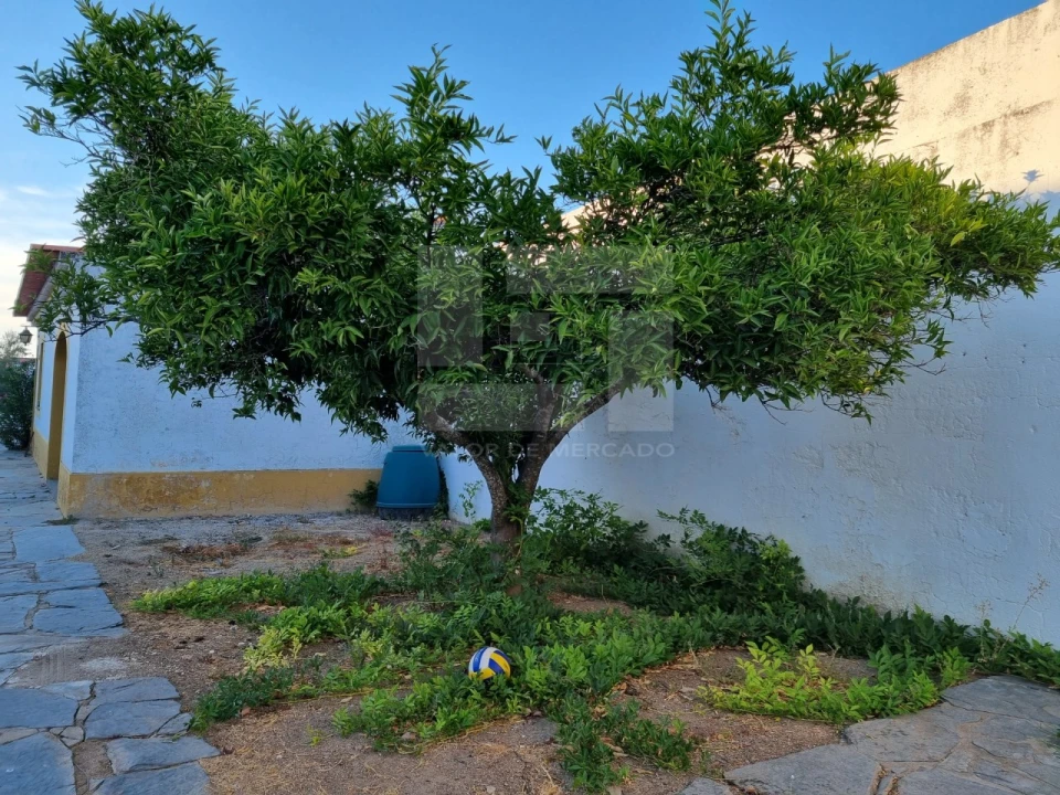 Moradia T4 para Venda em Reguengos de Monsaraz Foto 37