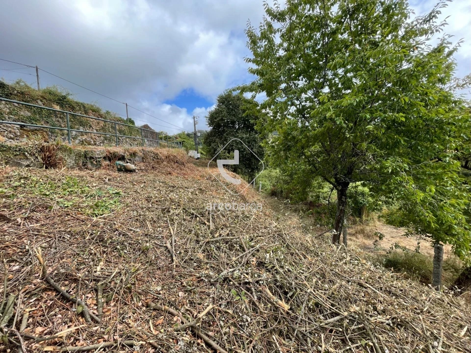 Moradia T2 para Venda em Paredes de Coura e Resende Foto 20