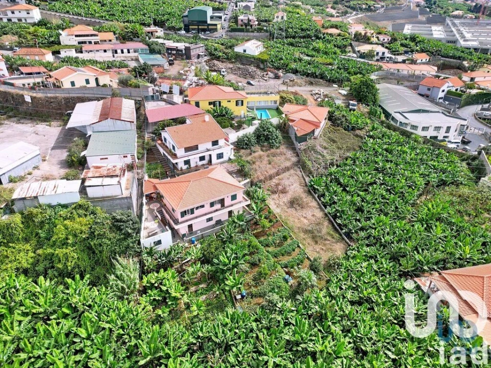 Terreno para Venda em São Martinho Foto 3