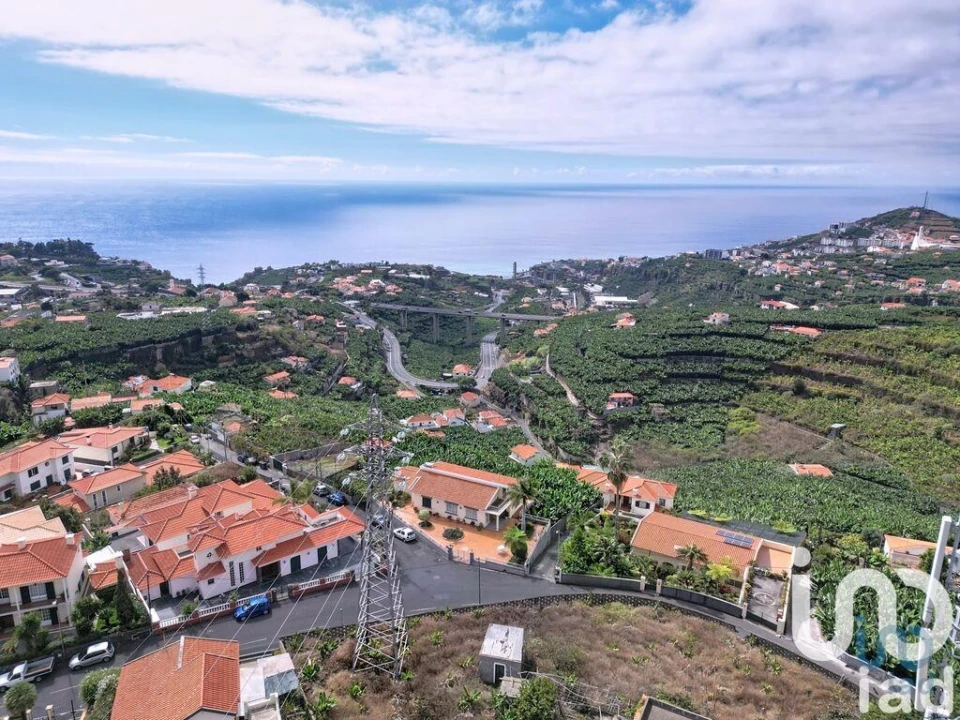 Terreno para Venda em São Martinho Foto 9