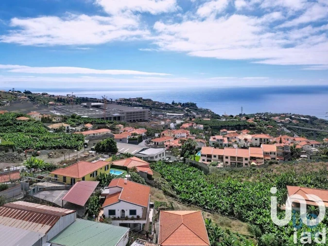 Terreno para Venda em São Martinho Foto 7