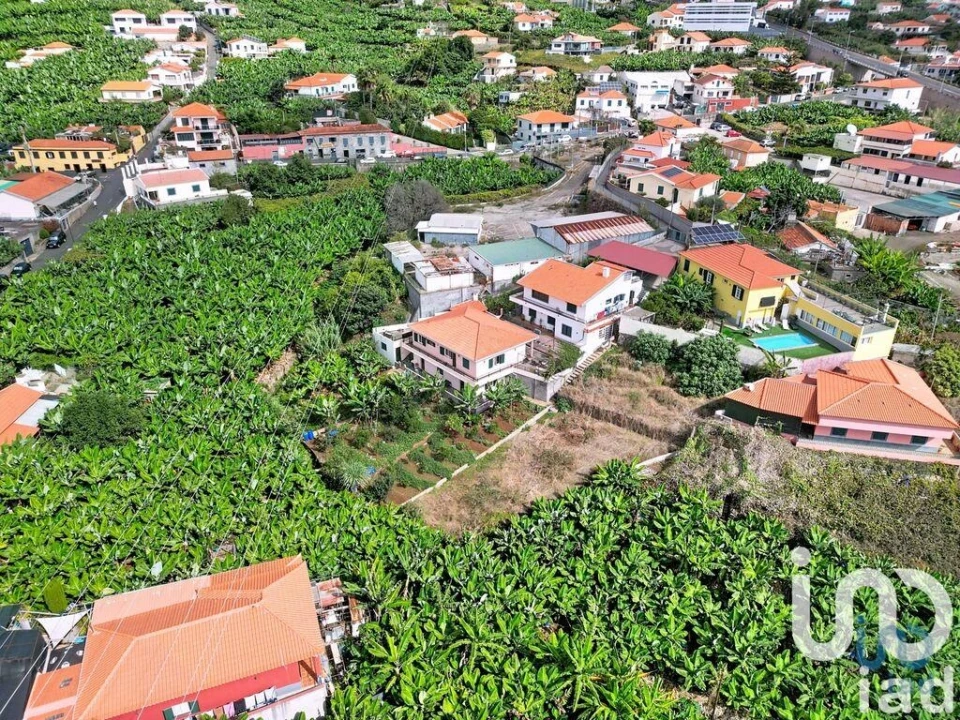 Terreno para Venda em São Martinho Foto 8