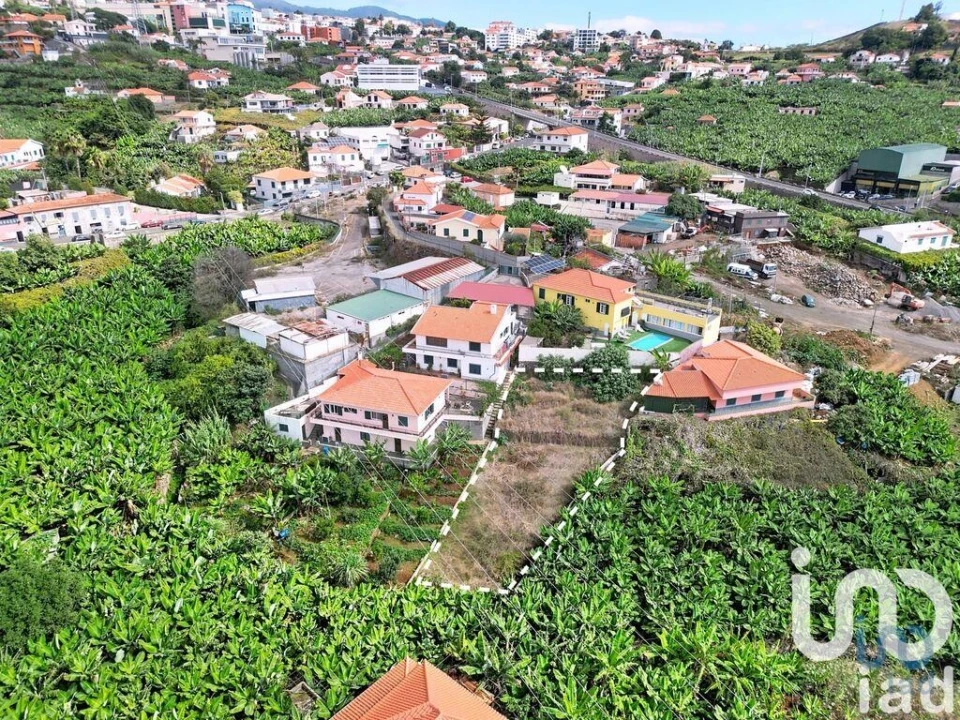 Terreno para Venda em São Martinho Foto 4