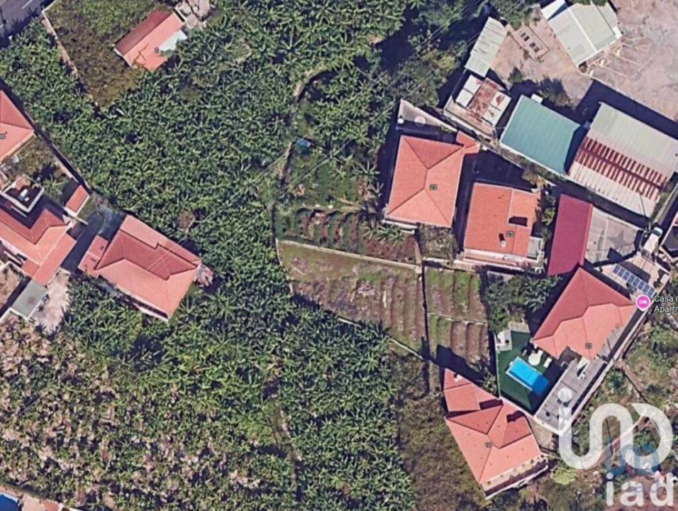 Terreno para Venda em São Martinho Foto 1