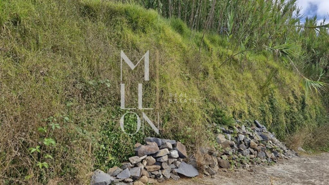 Terreno para Venda em Fajã da Ovelha Foto 3