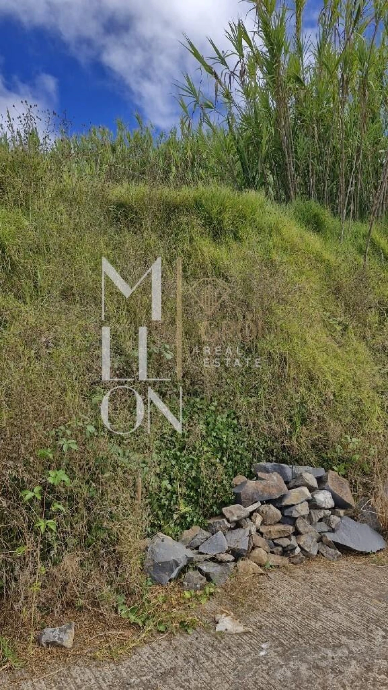 Terreno para Venda em Fajã da Ovelha Foto 4