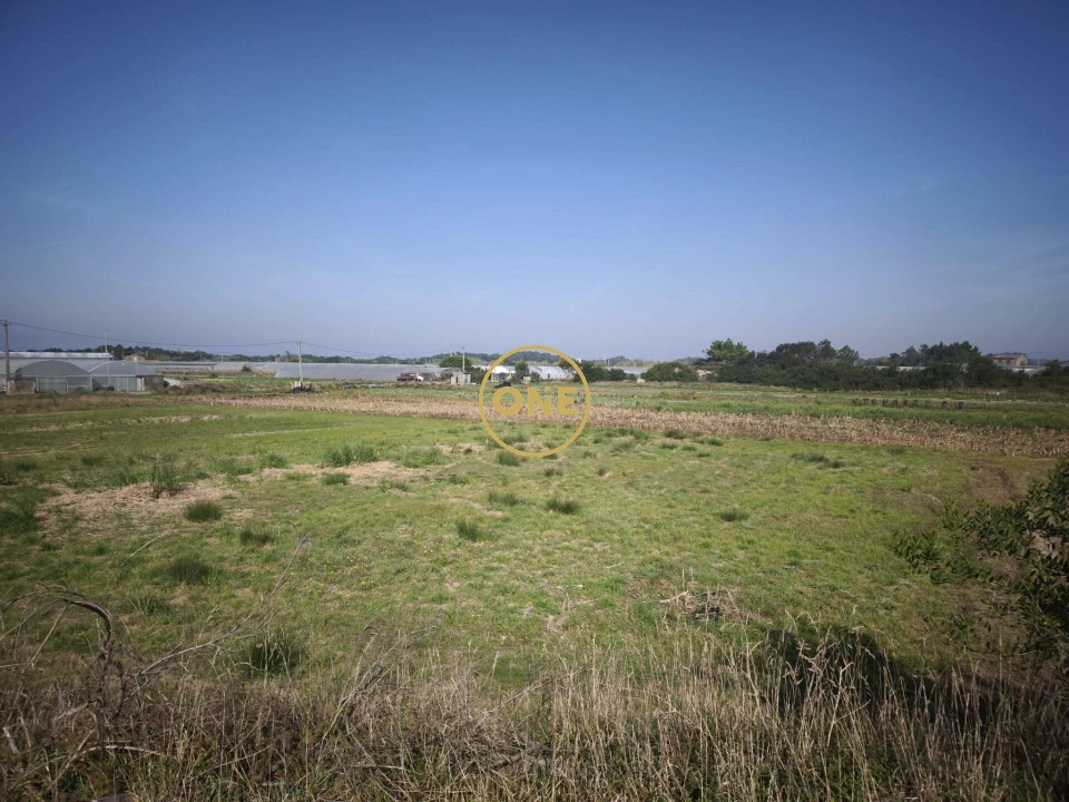 Terreno para Venda em Estela Foto 1