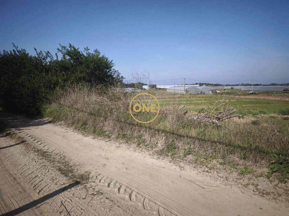 Terreno para Venda em Estela Foto 3