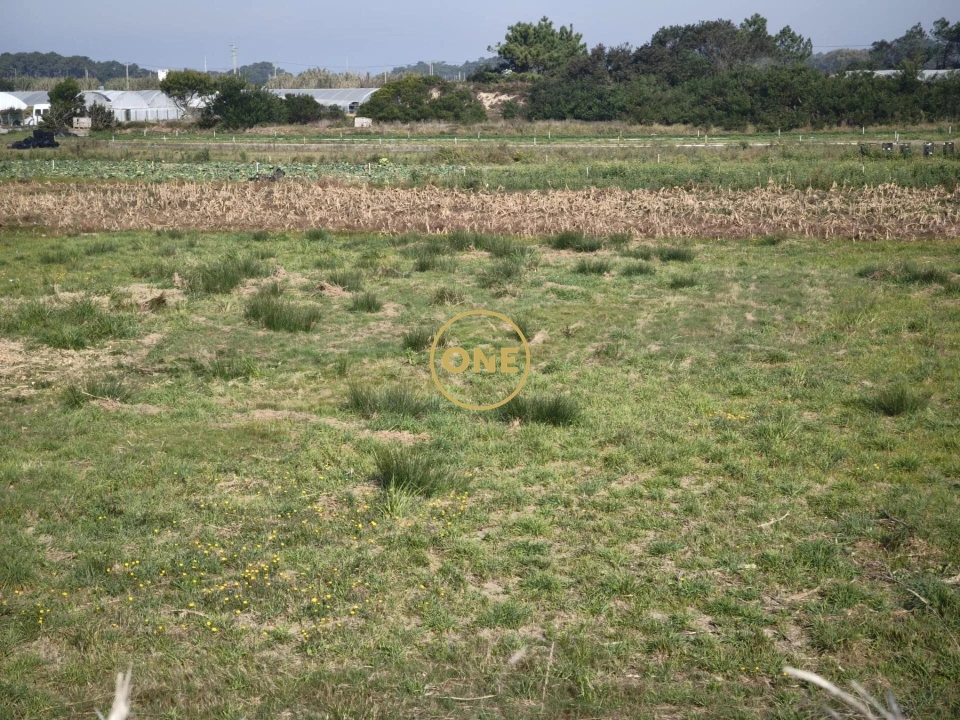 Terreno para Venda em Estela Foto 4
