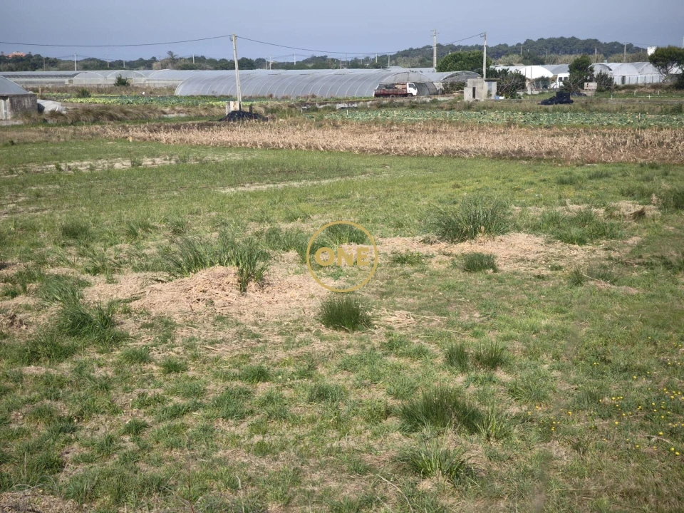 Terreno para Venda em Estela Foto 7