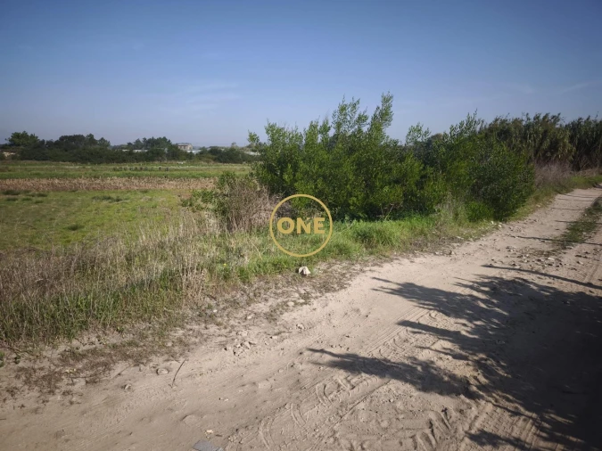 Terreno para Venda em Estela Foto 2