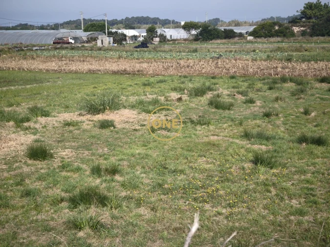 Terreno para Venda em Estela Foto 6