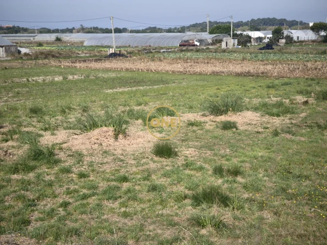Terreno para Venda em Estela Foto 7