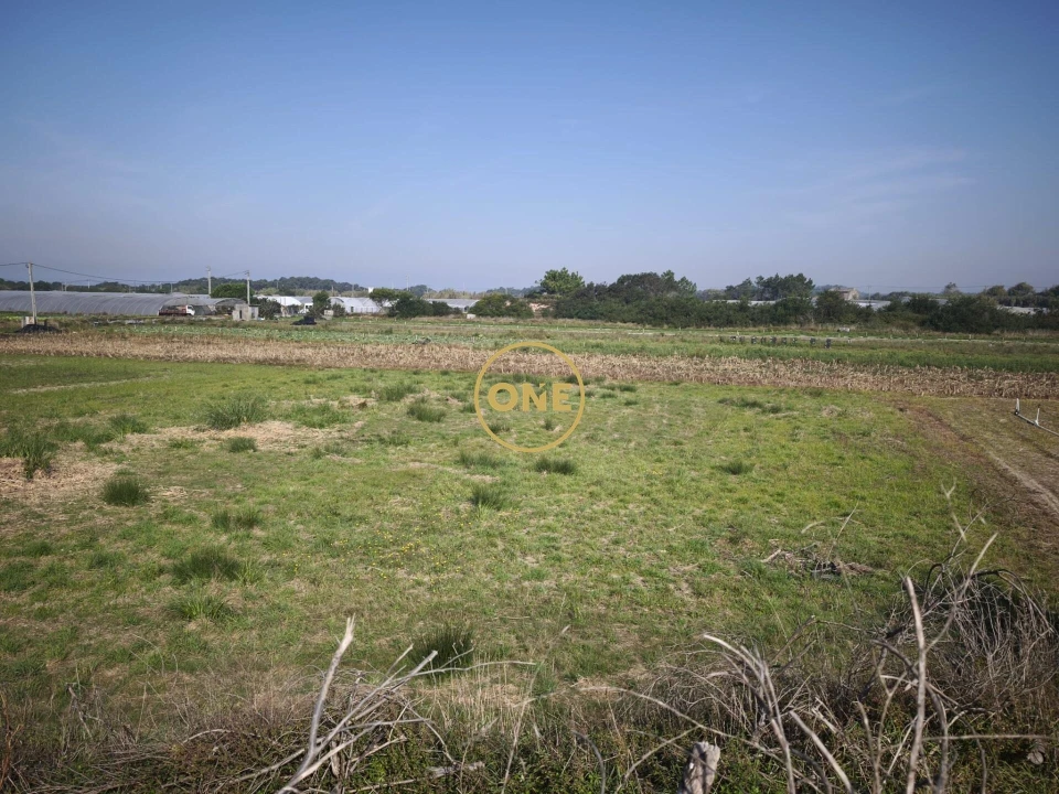 Terreno para Venda em Estela Foto 5