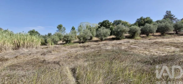 Moradia T2 para Venda em Rio Maior