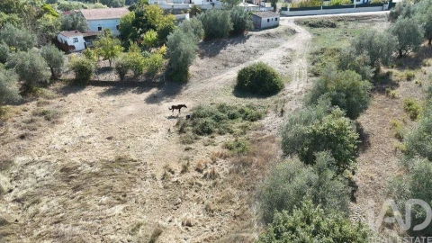 Moradia T2 para Venda em Rio Maior