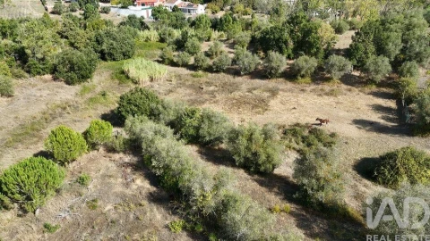 Moradia T2 para Venda em Rio Maior