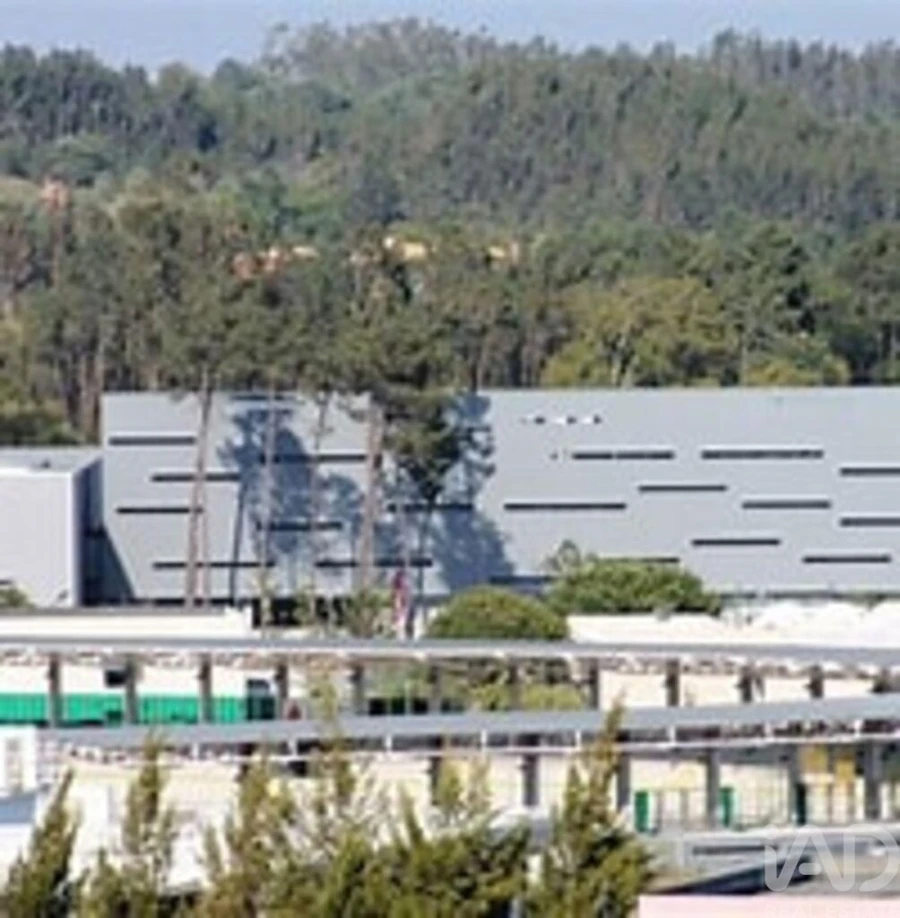 Moradia T2 para Venda em Rio Maior Foto 30