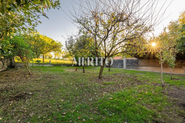 Moradia T3 para Venda em Airo Foto 42