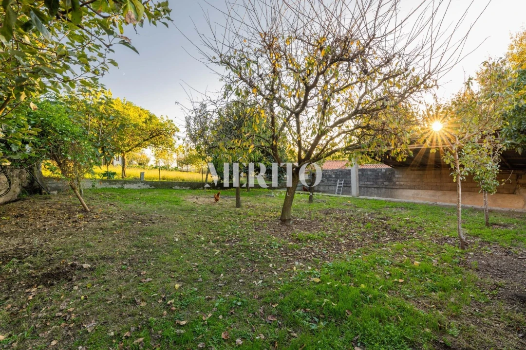 Moradia T3 para Venda em Airo Foto 42