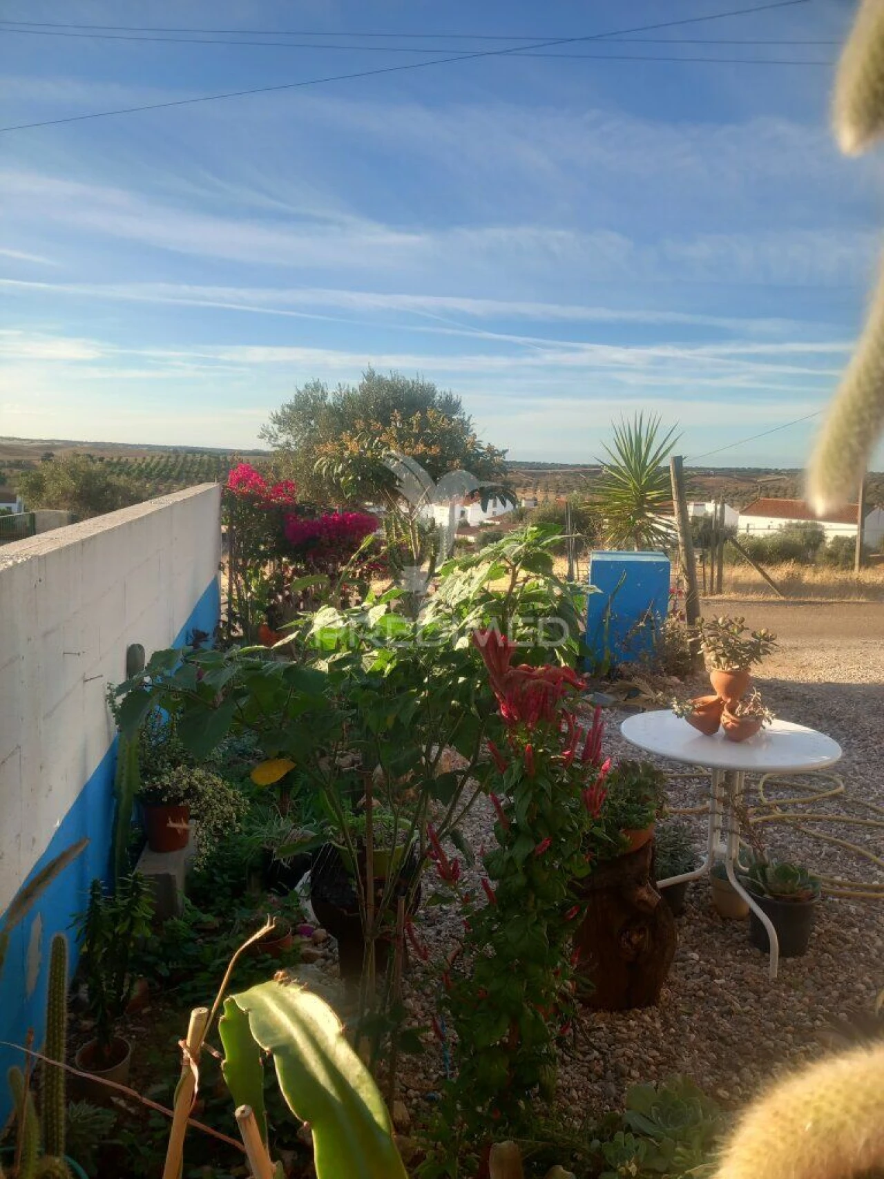 Moradia T2 para Venda em Redondo Foto 14