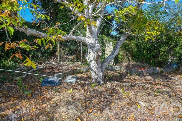 Moradia T2 para Venda em Aldeia Galega da Merceana e Aldeia Gavinha Foto 28