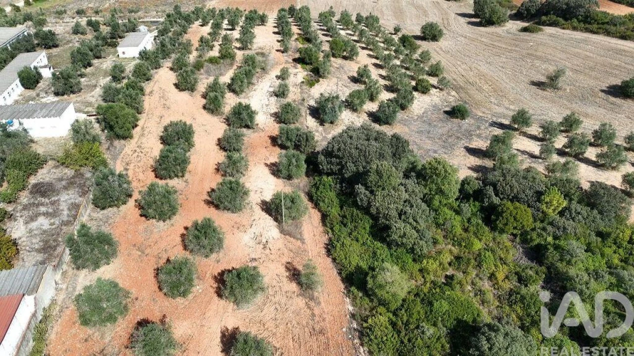Terreno para Venda em Azambujeira e Malaqueijo Foto 23